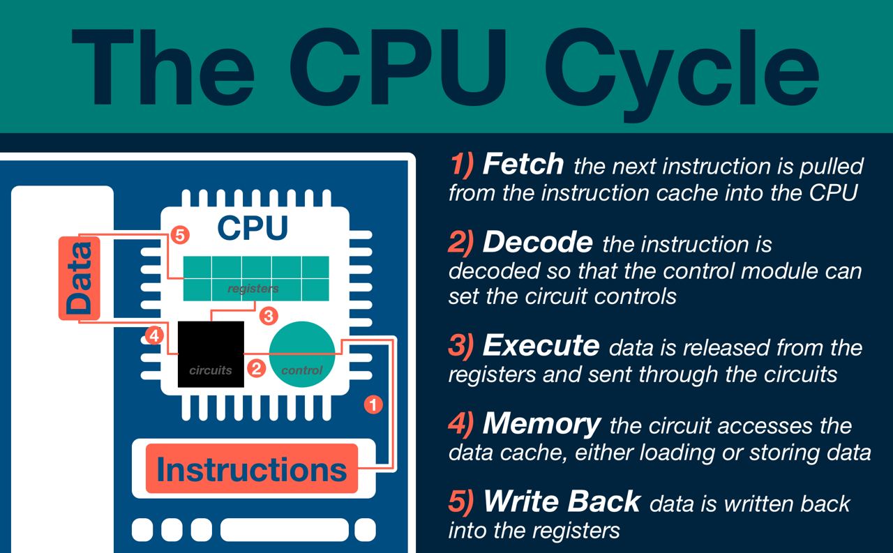 An overview of the CPU Cycle
